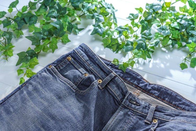 jeans with tree