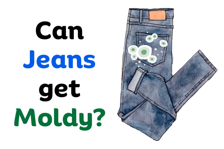 jeans get moldy